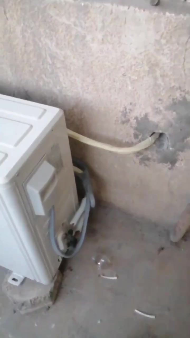 طبعا البواري يابسه وقديمه وسبلت قديم.
وصار بهل ترتيب
*********** غسل تنصيب صيانه
