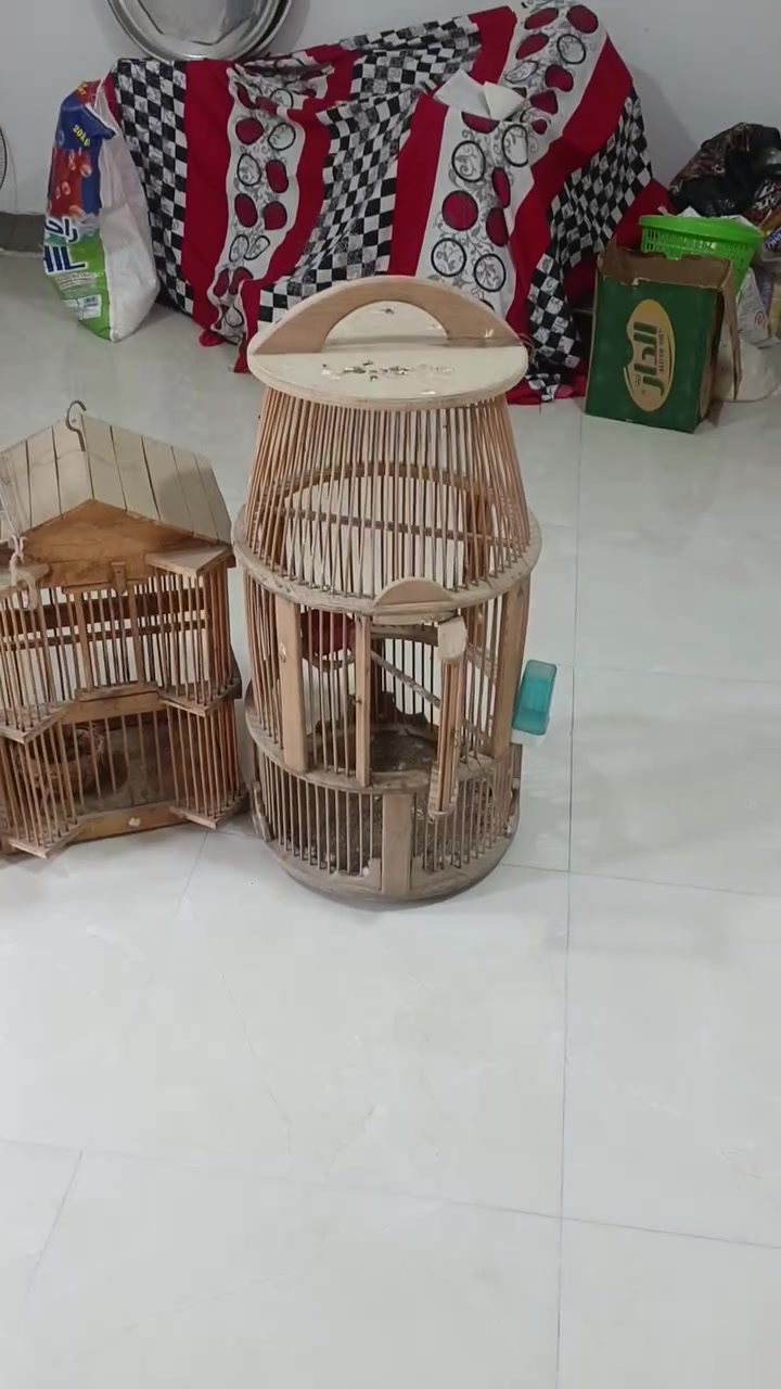 ***********
بابل حي الزهراء

