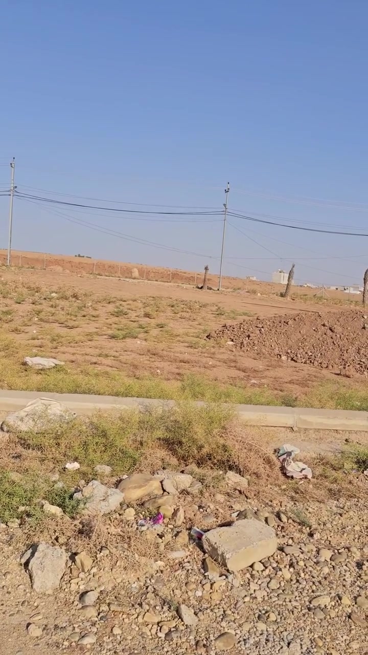 التربية الخامسة • ١٠٠م • واجهة ٥م