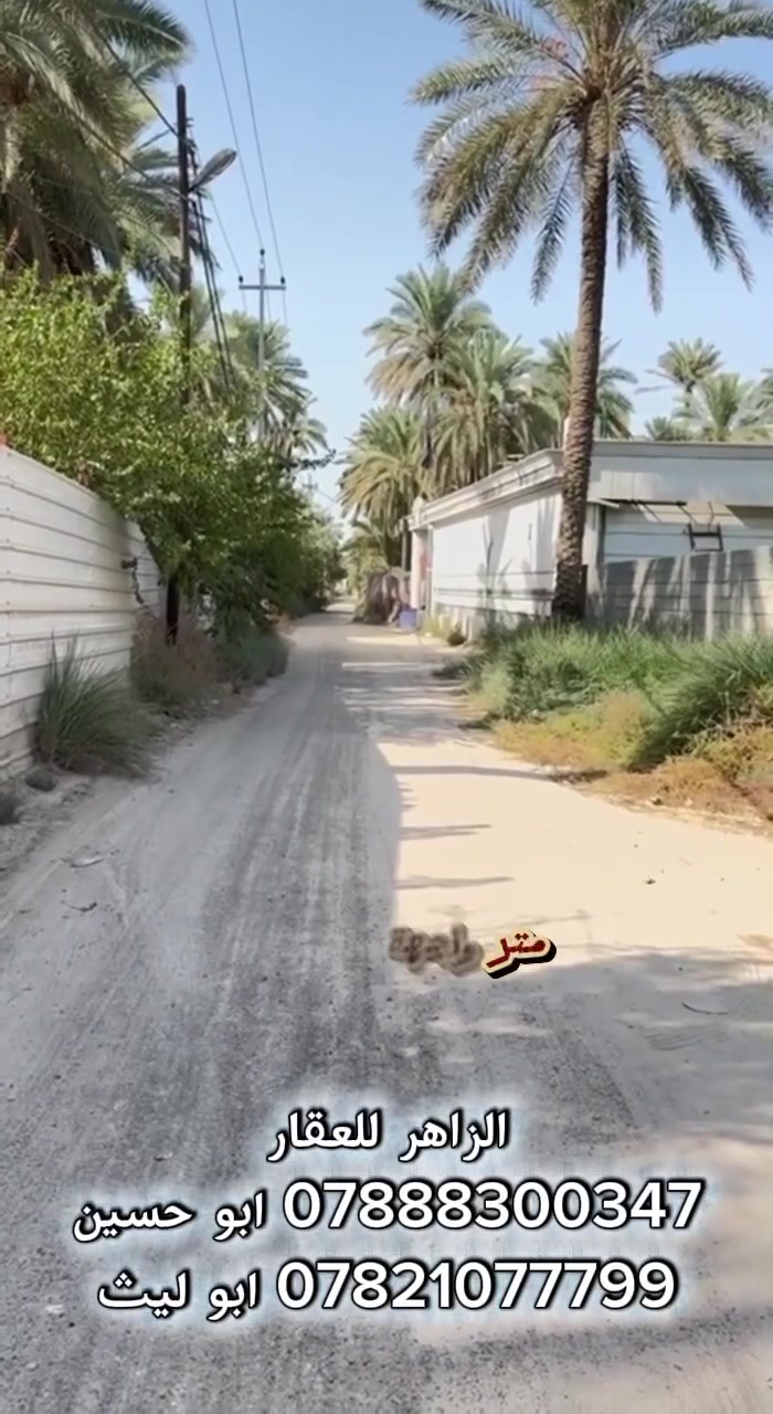 قطعة ٣٠٠متر كربلاء المقدسة شارع السيدة زينب عن الشارع ٣٠٠ متر الجبهة ١٢ والباقي نزال 
السعر ١١٠ مليون قابل للتفاوض
