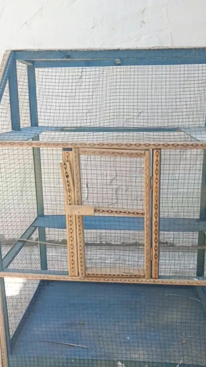 قفص طيور حب لبيع مكان لأمن داخلي شارع قائد ٢٠ بي مجال ***********
