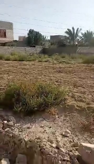 طابو زراعي • ٥٠٠م • شوملي نعمانيه