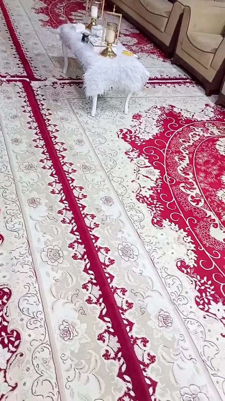 ئەم چوارفەڕشە ایرانیە ٧٠٠ شانەی پڕی خەمەتی کۆنە بۆفرۆشتن ***********
