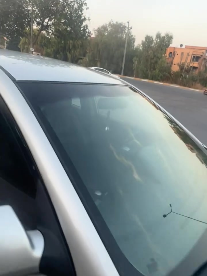 ٢٠٠٩ • فول • ماكو سلايد