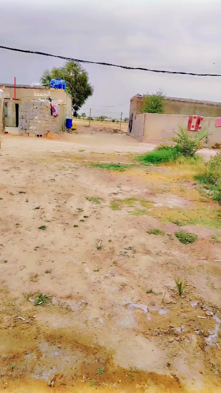 ١٥٠٠م • طريق كربلاء • صوب ياعلي
