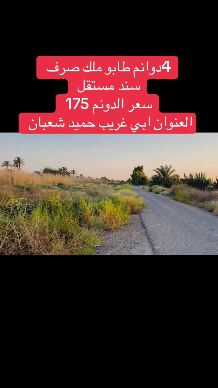 للأستفسار ***********
