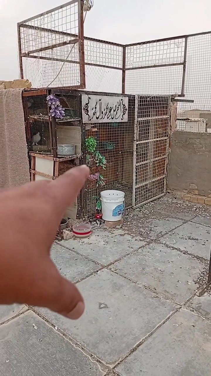 بلاش • بدون تفاوض