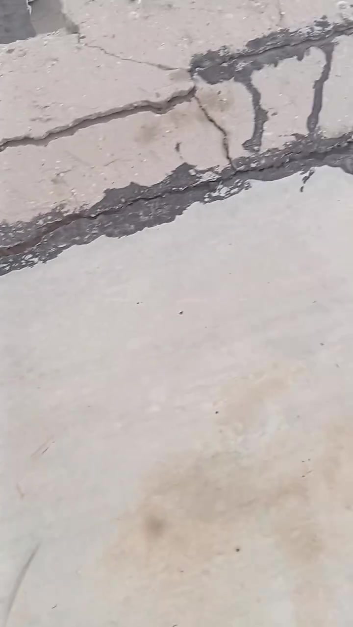 شغال ماستك • ماستك • عزل