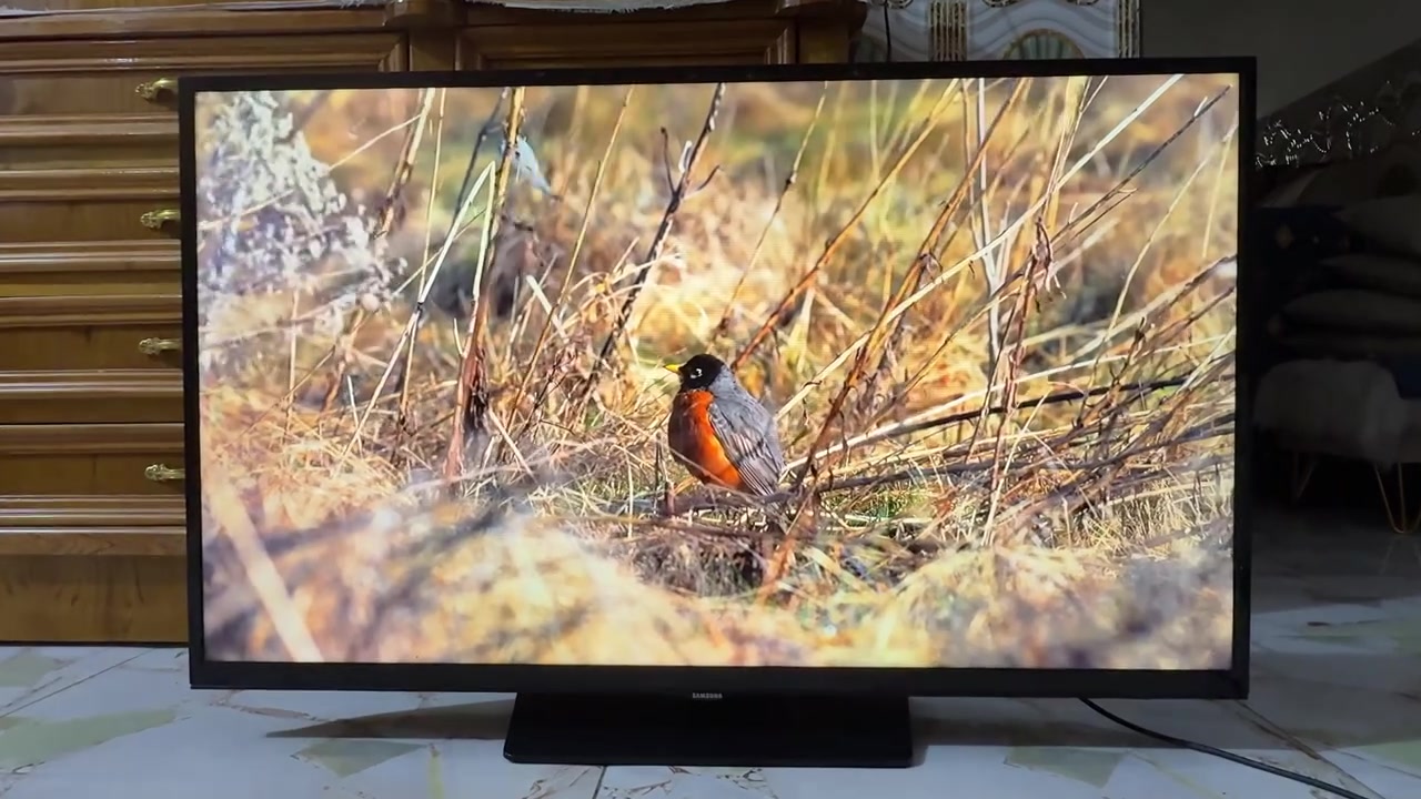 للبيع
شاشة سامسونگ اصلي ماليزي حجم 42 (السعر 225) الف هذا رقمي ***********
