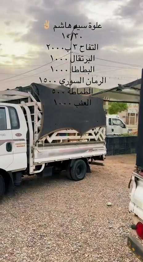 علوة سيد هاشم • جسر ديالى القديم • خضرة وفواكه طازة