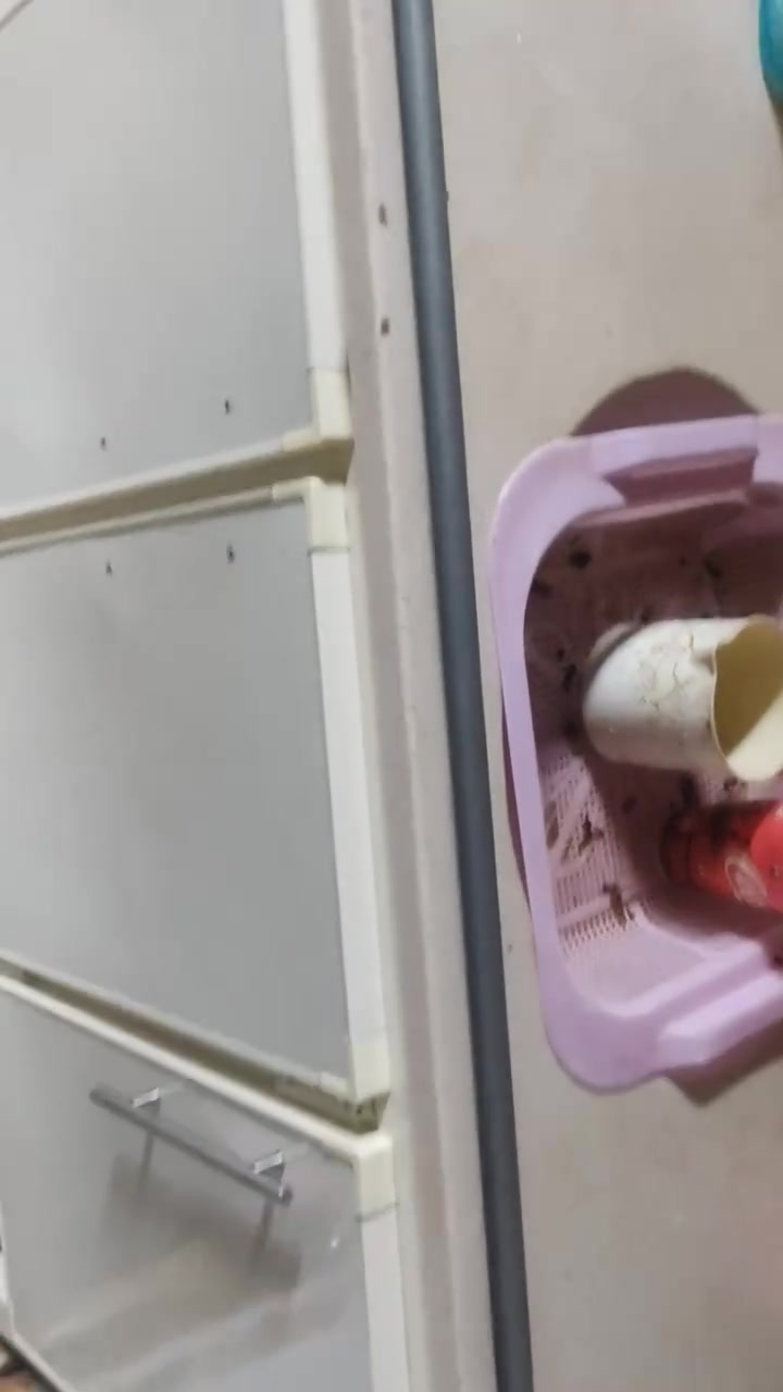 سنك • متر ونص • الشعب