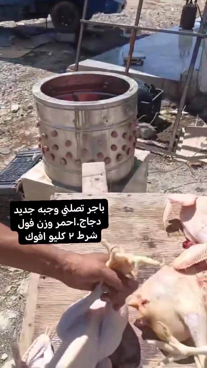 باجر تصلني وجبه جديد دجاج.احمر وزن فول ٤دجاجات سعرهن ١٠الف
للحجز والاستفسار الاتصال على الرقم التالي ***********
