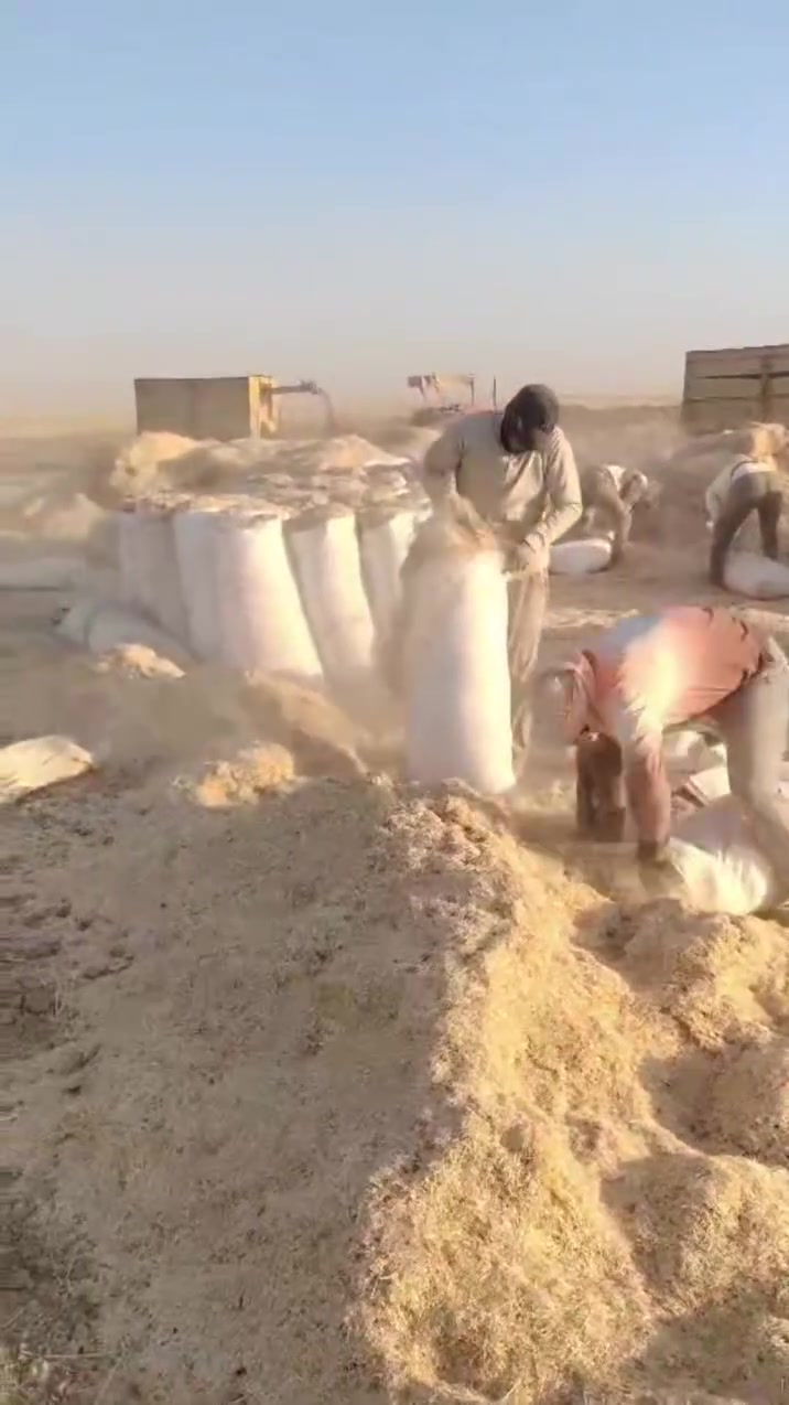 السلام عليكم.
يوجد تبن درجه اولى مال سنه شرط النضافه مع التوصيل والتفريغ مجاني. بأسعار مناسبه جدآ. للتواصل ***********.
