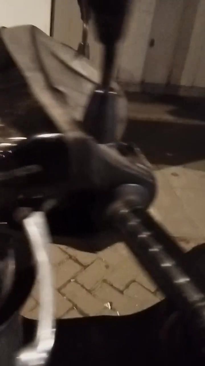 بغبغاء • كفالة • كهربايات شغالة