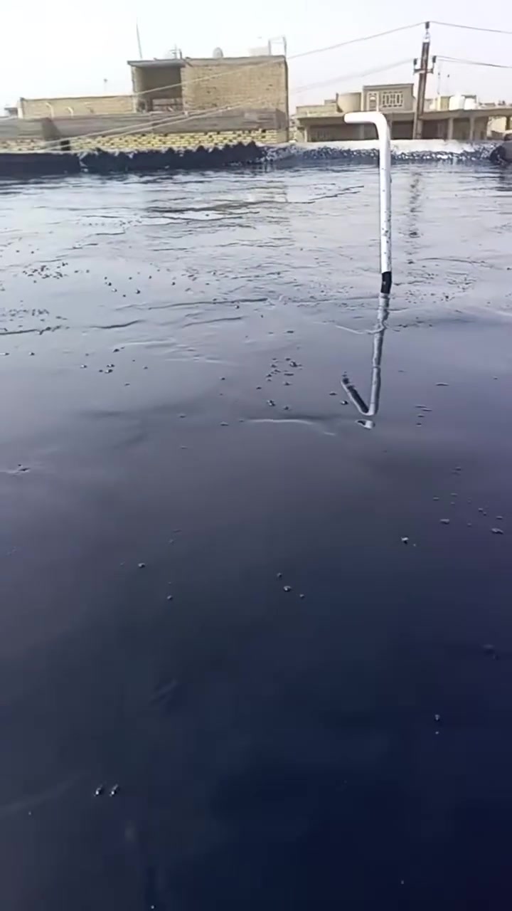 تزفيت البيت • درجة اولى • النجف