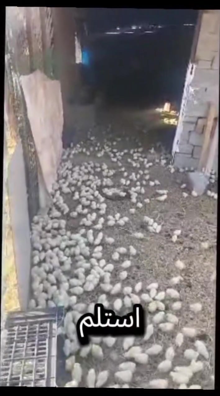 ابدأ مشروعك • بأقل التكاليف