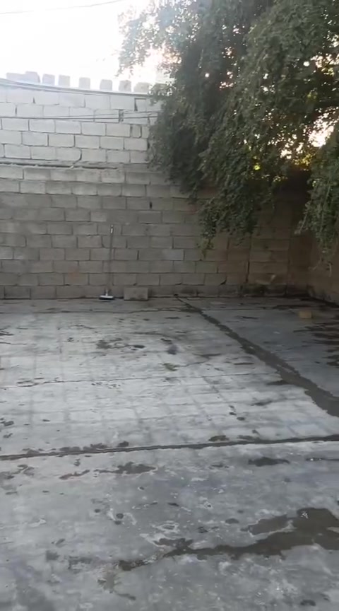 البيت البيع المساحة 280متر المكان مقبيل مستشفى السلامه لل الاستفسار ***********
