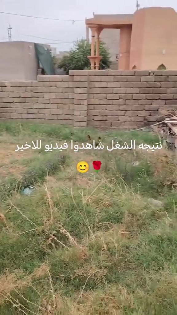 بيجي • تنظيف شامل • كادر يونس
