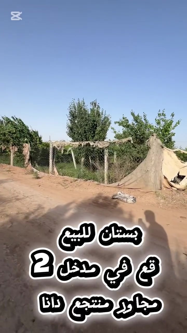 إعلان
سلام عليكم 
بستان للبيع تقع في مدخل ٢
مساحة دونم فقط واجه ٦٢ نزال ٤١ 
البستان مزروعه بالكامل 
للاستفسار اكثر 
*********** علي حتروش
او مراسله الصفحة 
او مراجعه مكتب ادراك للمحاماة والعقار في شارع الامير
