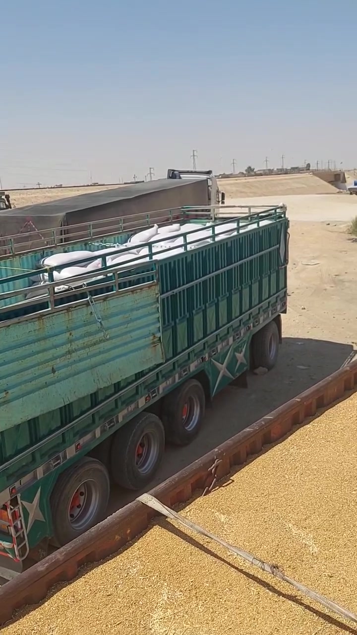 السلام عليكم وصول حنطه ديميه شرط الخبز سعر الطن الواحد ٣٦٥الف الكميه ٩٣طن المكان القائم الشراي يتصل على رقم ***********
