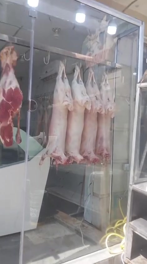 بسم الله وعلى بركة الله نعلن لكم عن افتتاح لحوم ومشويات علي سمير
لحم عراقي هرفي درجه اولى الكل تعرف علاوي وتعرف تعامله ويه الناس
يوجد لحم غنم لحم عجل مشويات صدر دجاج توجد خدمه توصيل طلبات ***********

 الموقع زيونه مقابل دائره الكهرباء  رابط موقع المحل

أنا استخدم Waze للقيادة إلى Received location، سوف أصل في 11:21. شاهد رحلتي مباشرة على خريطة Waze! https://www.waze.com/ul?a=share_drive&locale=ar&sd=A311bYABVfYDa5yPxw-sd&env=row&utm_source=waze_app&utm_campaign=share_drive
