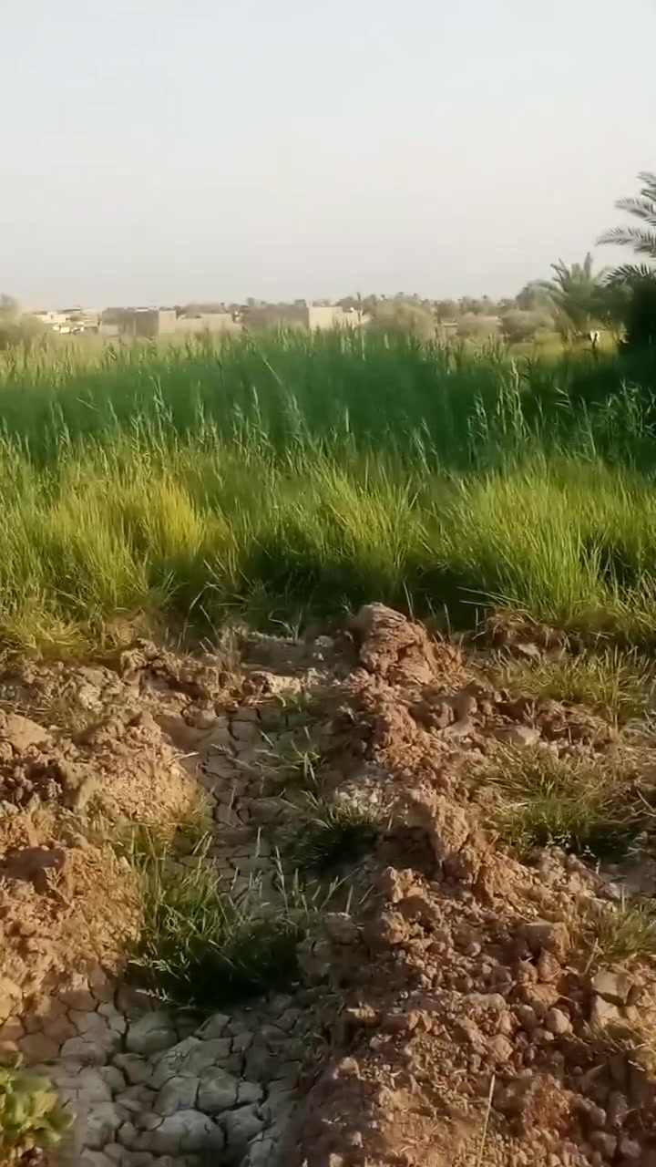 سلام عليكم ارض زراعيه للبيع المكان ال شفيج قريب عل شط 2دونم خدمات موجوده ماء كهرباء سعر خاص 
اتصال ***********
