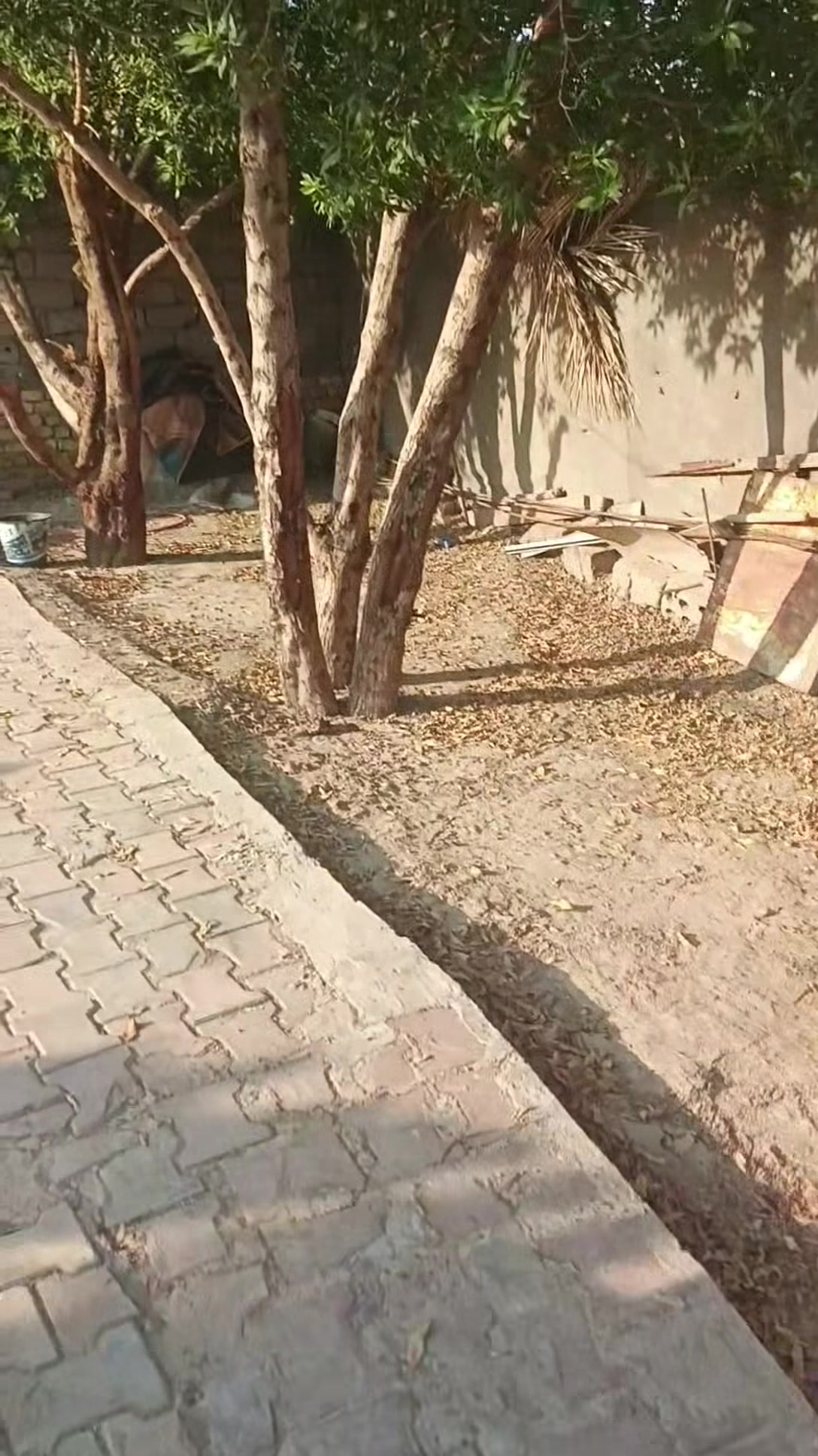 حي الشهداء • ١٥٠م • طابو زراعي