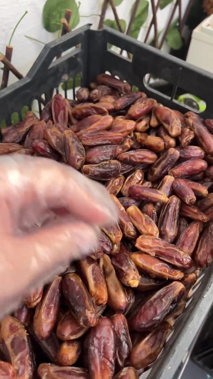 السماوة • بلكة خشنة • بالكيلو
