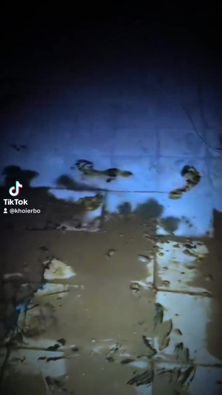 صحتك وصحة عائلتك تبدأ من ماء نظيف ونقي! 💧
​خدمات تنظيف وتعقيم خزانات المياه في محافظة ديالى 🧼✨
​هل لاحظت تغيراً في لون أو طعم المياه؟ الخزانات المهملة هي البيئة المثالية لتراكم الترسبات، الطحالب، والبكتيريا التي تؤثر مباشرة على صحة أسرتك.
​نحن نقدم لك الحل الأمثل بأحدث أساليب التنظيف والتعقيم لنضمن لك مياه صحية ونقية 100%.
​🌟 لماذا تختار خدماتنا؟
​تنظيف شامل وعميق: إزالة كافة الأطيان، الترسبات، والتكلسات المتراكمة في القاع والجدران.
​تعقيم آمن ومضمون: نستخدم مواد تعقيم آمنة تماماً على الصحة ومطابقة للمواصفات.
​سرعة ودقة في العمل: كادر متخصص وأجهزة حديثة تضمن لك أعلى جودة وأسرع إنجاز.
​أسعار مناسبة: أفضل خدمة بأفضل سعر تنافسي.
​📍 تغطية شاملة
​نصلكم في جميع مناطق ومدن محافظة ديالى (بعقوبة، الخالص، المقدادية، وباقي النواحي).
​📞 للحجز والاستفسار، اتصل بنا الآن:
***********
(راحتكم وصحتكم أمانة لدينا)
