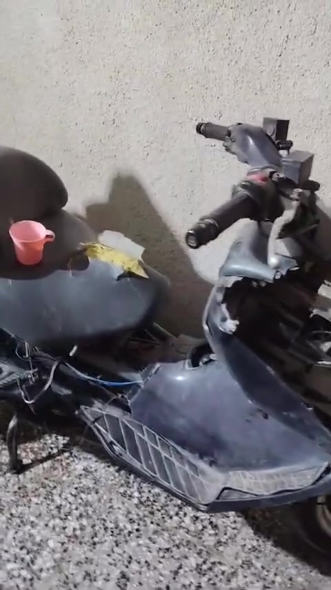 فديو • كربلاء • التحدي