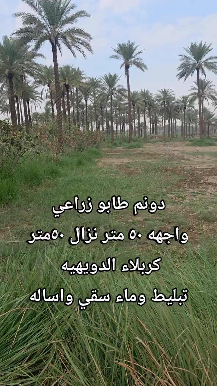 كربلاء طويرج • ٢٥٠٠م • واجهة ٥٠م