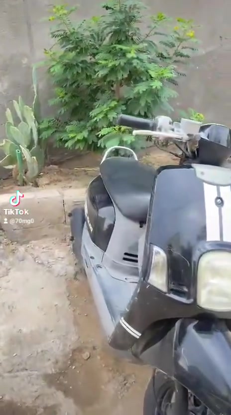 ماكس بوليس • بوشه 49 • نضيفه