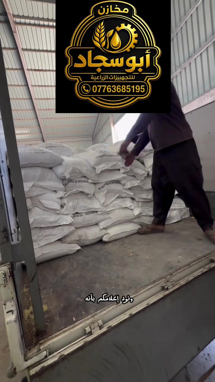 متاح 

كافة الكميات وبجميع الانواع_سنبلتين_سنبلةخضراء_الكفين
للطلب. والاستفسار ‭***********‬
