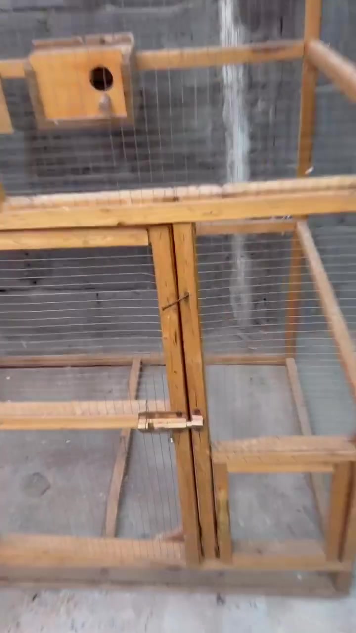 قفص • نضيف • عرض ٧٥