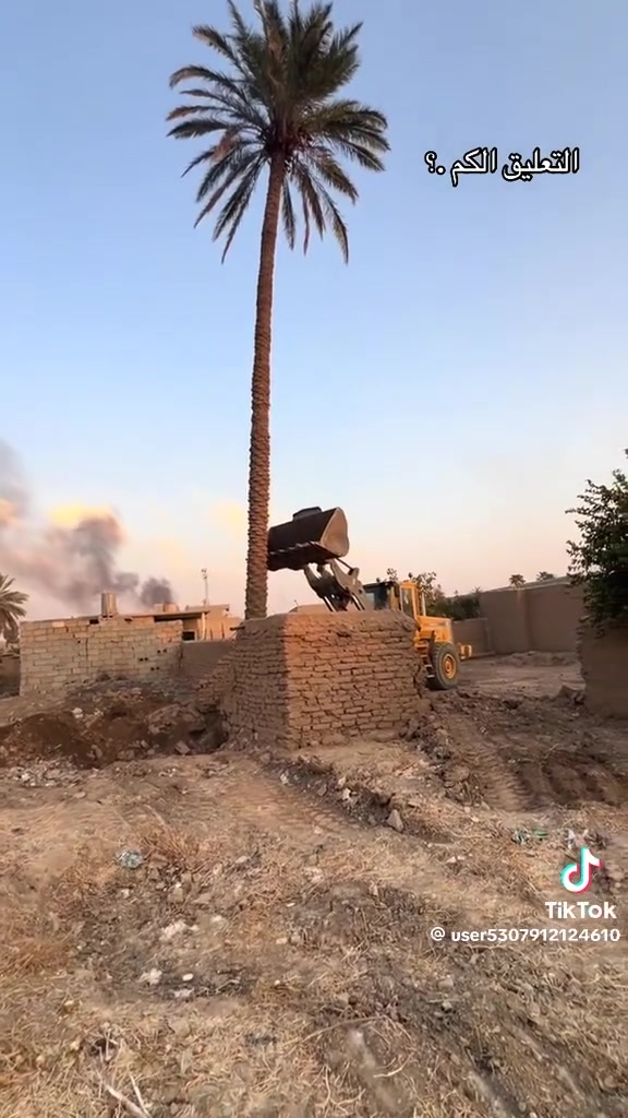 سلام عليكم المحتاج حارس او فلاح بستان او مزرعه حتى لو بيها حلال وبراتب شهري عندي نسيبي موجود هوه وعائلته وين ما كان بالناصريه اطراف الناصريه ماكو مشكله وهذا رقمي للتواصل ***********
