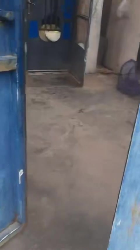 للايجار
