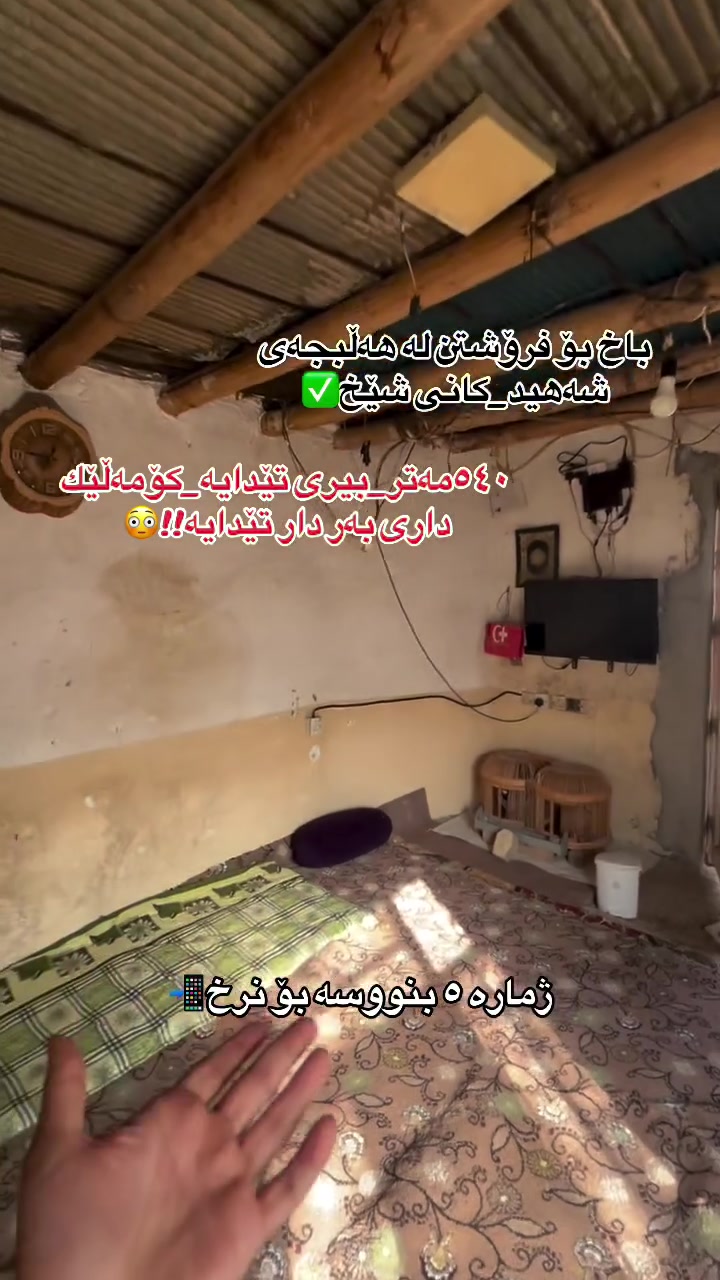 حلبجة كاني شيخ • ٥٤٠م • كهرباء وبئر