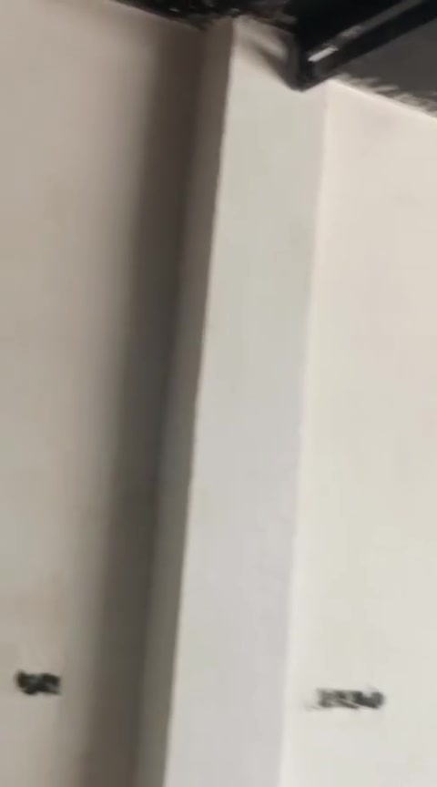 سلام عليكم اشتغل خلفه لبخ سمنت ونثر واجهيات ستاير طلس شغل درجة الأولى ومتفرغ حالين مكاني الأسكندريه ***********
