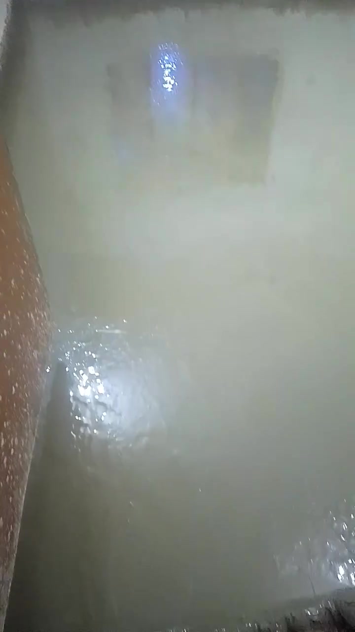 السلام عليكم كادر عمال مختص تفليش ارضيات وحدل التراب بالكنغر وفرش السبيس وصب ارضيات مكاني حله تواصل معنا على واتساب ***********

