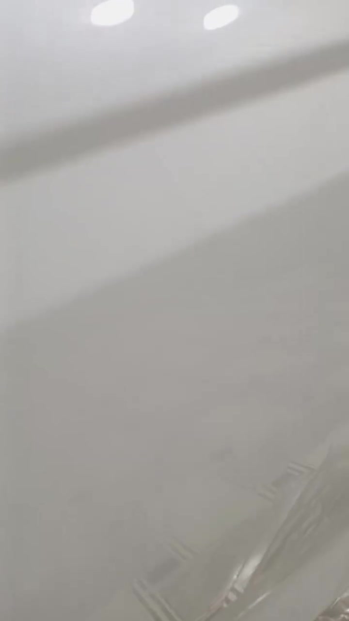 باب كرنفال • جانب السائق • يد السائق