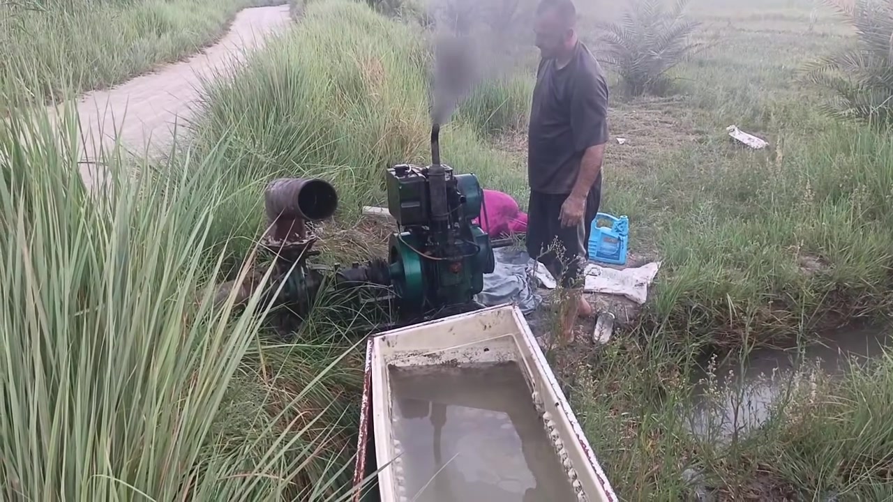 سلام عليكم مادور ١٢حصان للبيع خنزيره 6/6 مكان كربلاء ***********
