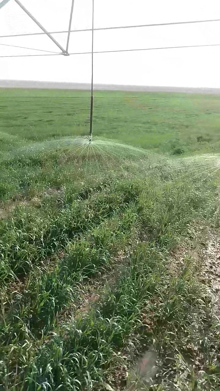 موجود محوري أول موسم هي ول أرض كله كسر جديد
كامله جاهزه مجهزه. ترهم شريك بنص   وترهم ايجار سنوي ودفع نقد مكان الأرض سكران الغربي.   ***********
