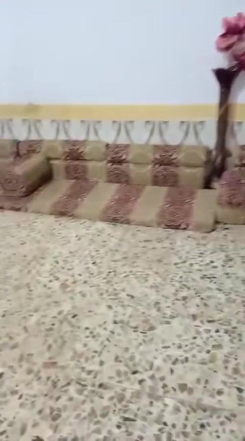 ديوان • ٧م • نضيف
