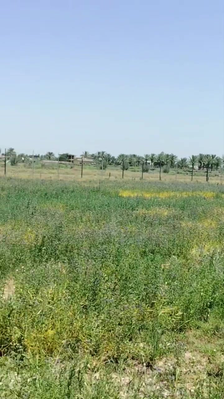 5 دونم طابو زراعي سند 25 
تحويل مباشر على طابو ابو غريب 
الارض مسيجة كامل 
مزروعة بستان جديد 
فيها ثلاث احواض خزن ماء 
فيها دار استراحة مكون (  من غرفة ومطبخة وصحيات و استقبال فول مواصفات  ) 
فيها حديقة مرتبة 
كراج سيارات
كل خدمات متوفرة 
لاستفسار الإتصال او مراسلة الواتساب ***********
