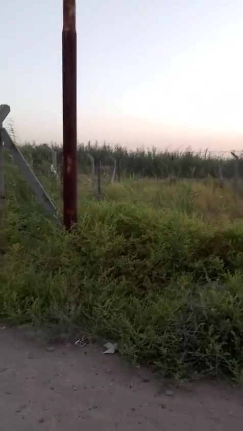 هور رجب • ١٠٠م • شارع عام