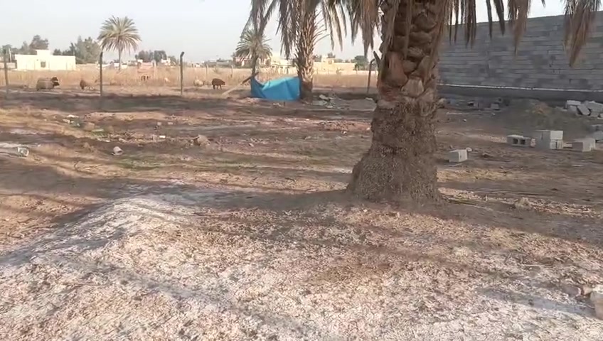 كاع 500م منطقه الانتصار مجيد الناصر بسعر مناسب اي ستفسار اتصل وتدلل ***********
