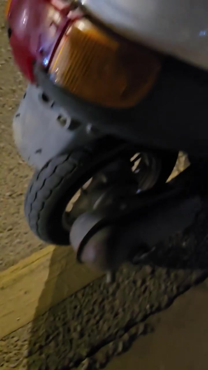 بطة • سلف • معدل