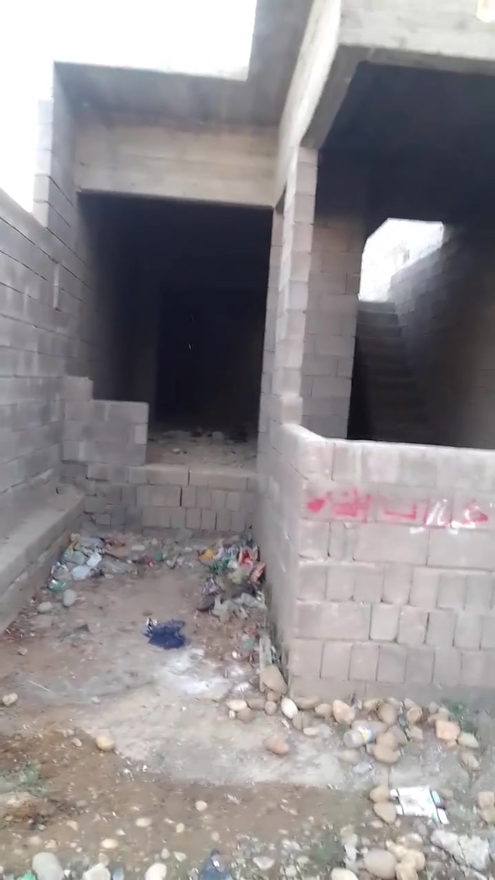 القوسيات المدرسة الصينية • ١٠٠م • هيكل