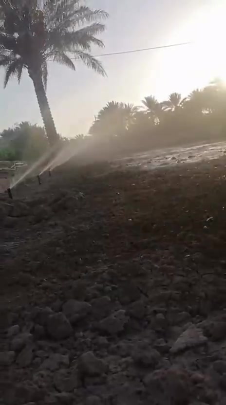 السلام عليكم 🤝
متوفر ثيل هندي و فرنسي و إيطالي متوفر كوادر تجهيز حدائق دفن وتعديل و عمل جميع الديكورات وتنصيب منظومة المرشات المخفية والضاهره  وعمل سقائف الخيزران بأنسب الأسعار .. تواصل معنا  على الرقم*********** 
***********و مراسله على الواتس اب
