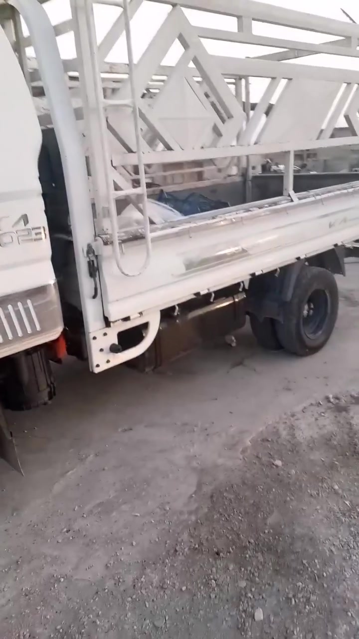 موديل ١٦ • ديالى • كفالة عامة